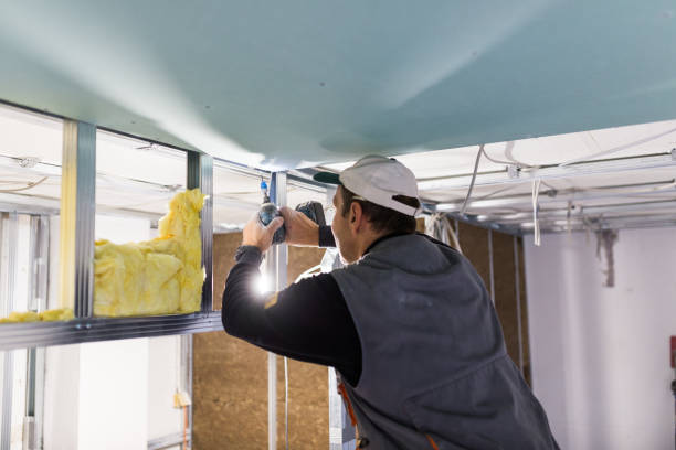 Best Specialty Insulation in Woodworth, LA