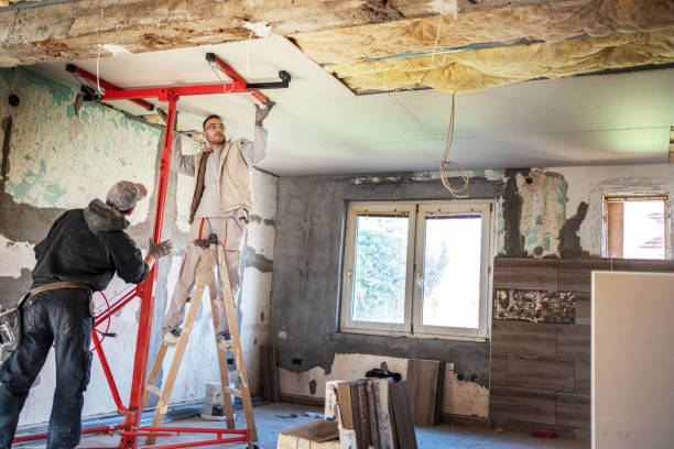 Best Types of Insulation in Woodworth, LA
